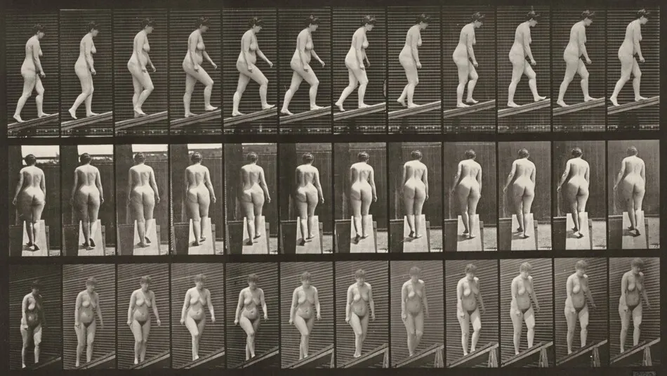 Plate Number 77. Ascending an incline by Eadweard Muybridge
