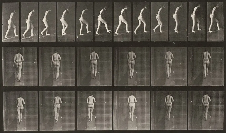 Plate Number 79. Ascending an incline by Eadweard Muybridge