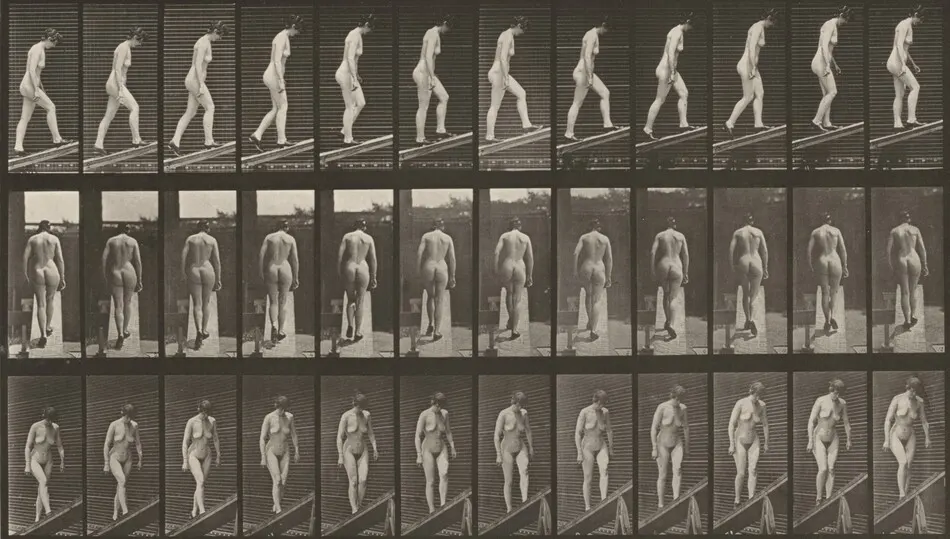 Plate Number 85. Ascending an incline by Eadweard Muybridge
