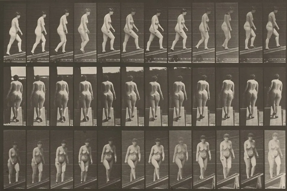 Plate Number 86. Ascending an incline by Eadweard Muybridge