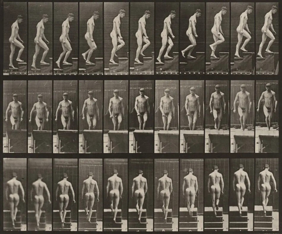 Plate Number 88. Ascending stairs by Eadweard Muybridge