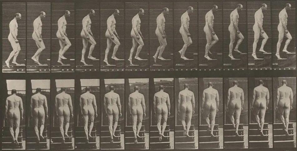 Plate Number 89. Ascending stairs by Eadweard Muybridge