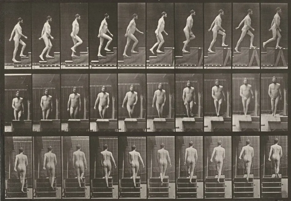 Plate Number 90. Ascending stairs by Eadweard Muybridge