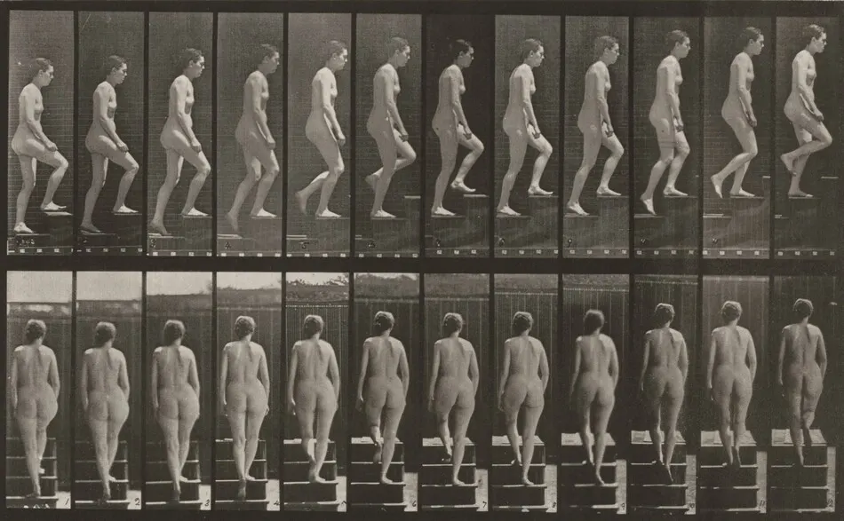 Plate Number 92. Ascending stairs by Eadweard Muybridge