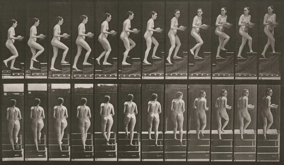 Plate Number 94. Ascending stairs and looking around with basin in hands by Eadweard Muybridge