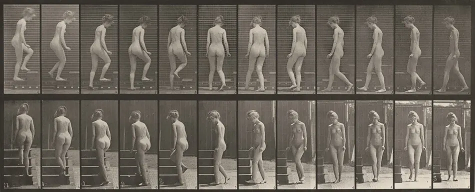 Plate Number 98. Turning and ascending stairs by Eadweard Muybridge