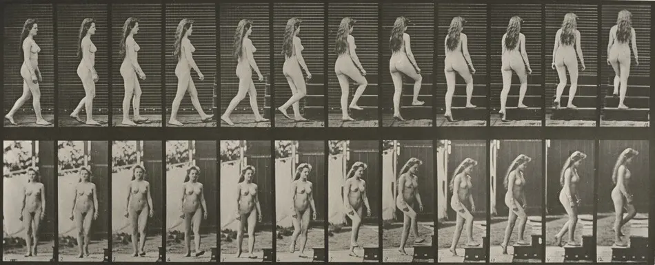 Plate Number 99. Turning and ascending stairs by Eadweard Muybridge