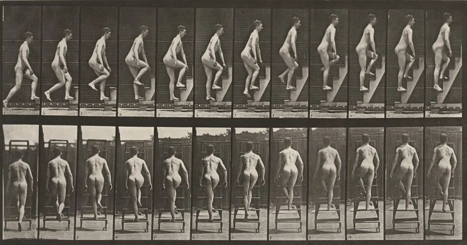 Plate Number 109. Ascending a stepladder by Eadweard Muybridge