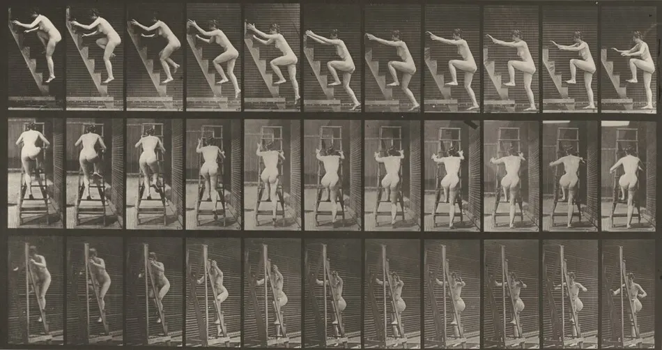 Plate Number 110. Ascending a stepladder two steps at a time by Eadweard Muybridge