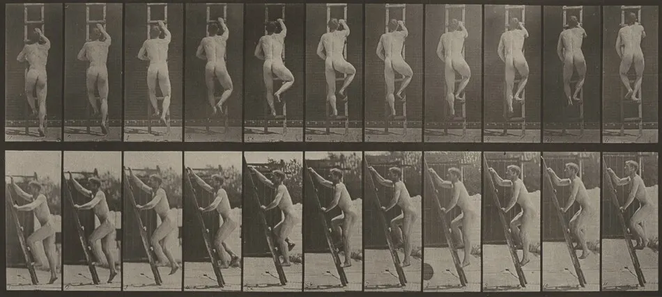 Plate Number 111. Ascending a ladder by Eadweard Muybridge