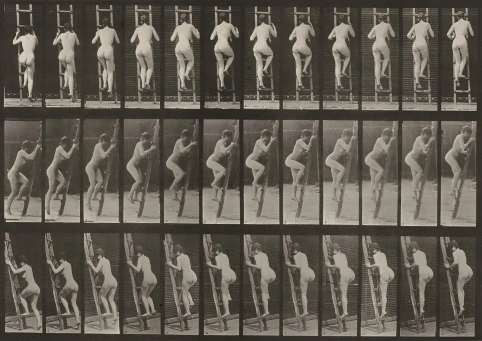 Plate Number 112. Ascending a ladder by Eadweard Muybridge