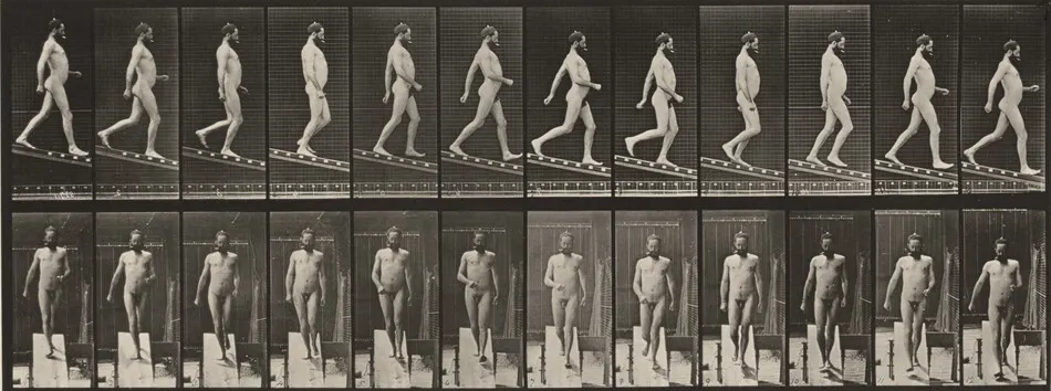 Plate Number 113. Descending an incline by Eadweard Muybridge