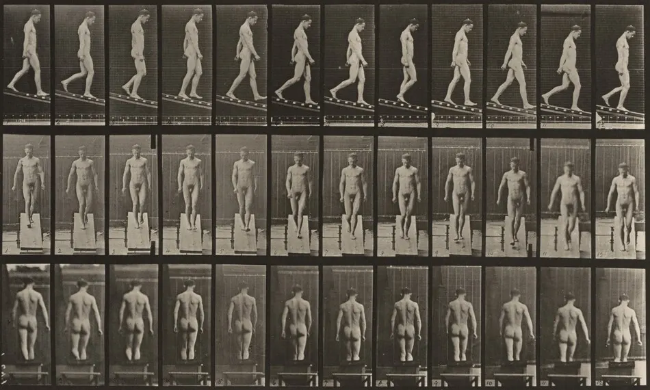 Plate Number 114. Descending an incline by Eadweard Muybridge