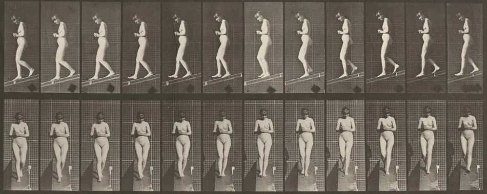 Plate Number 115. Descending an incline with hands clasped in front by Eadweard Muybridge