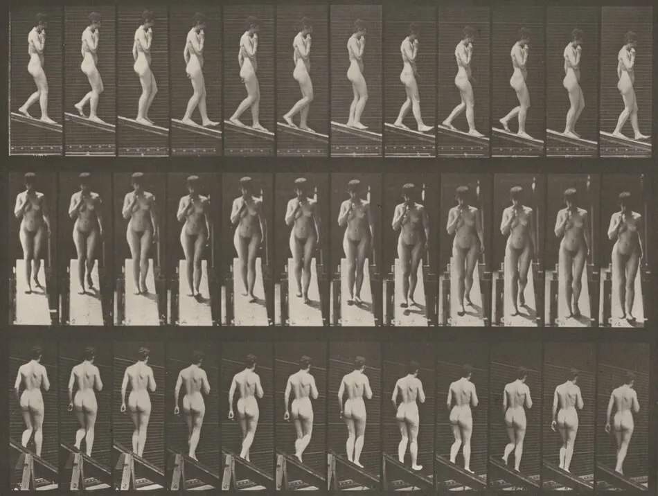 Plate Number 116. Descending an incline with one hand on chin by Eadweard Muybridge