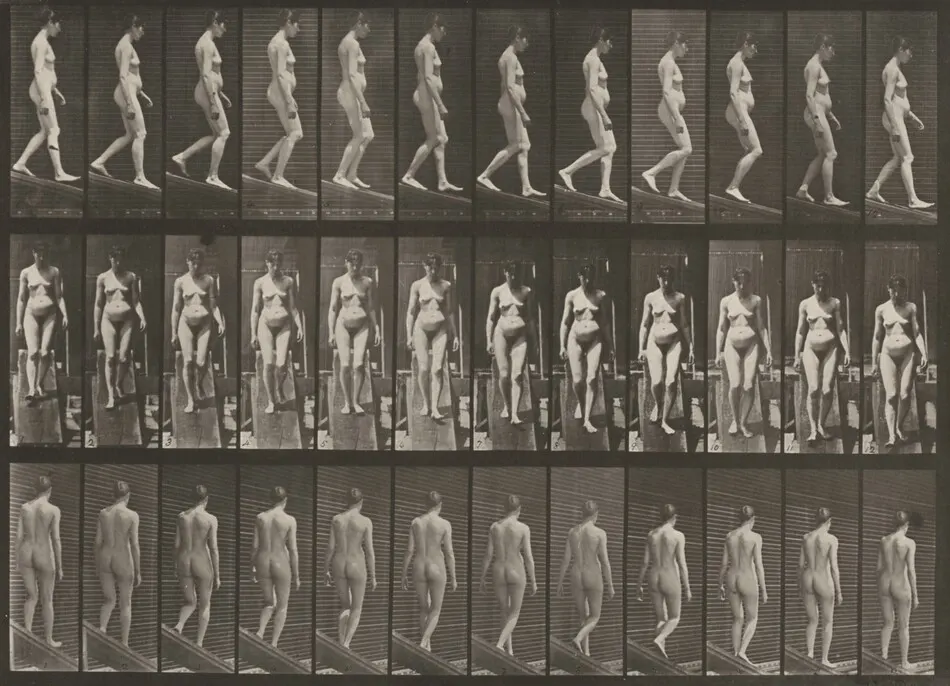 Plate Number 117. Descending an incline by Eadweard Muybridge