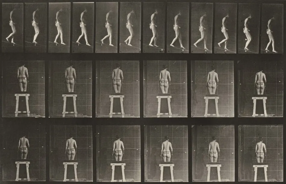 Plate Number 118. Descending an incline by Eadweard Muybridge