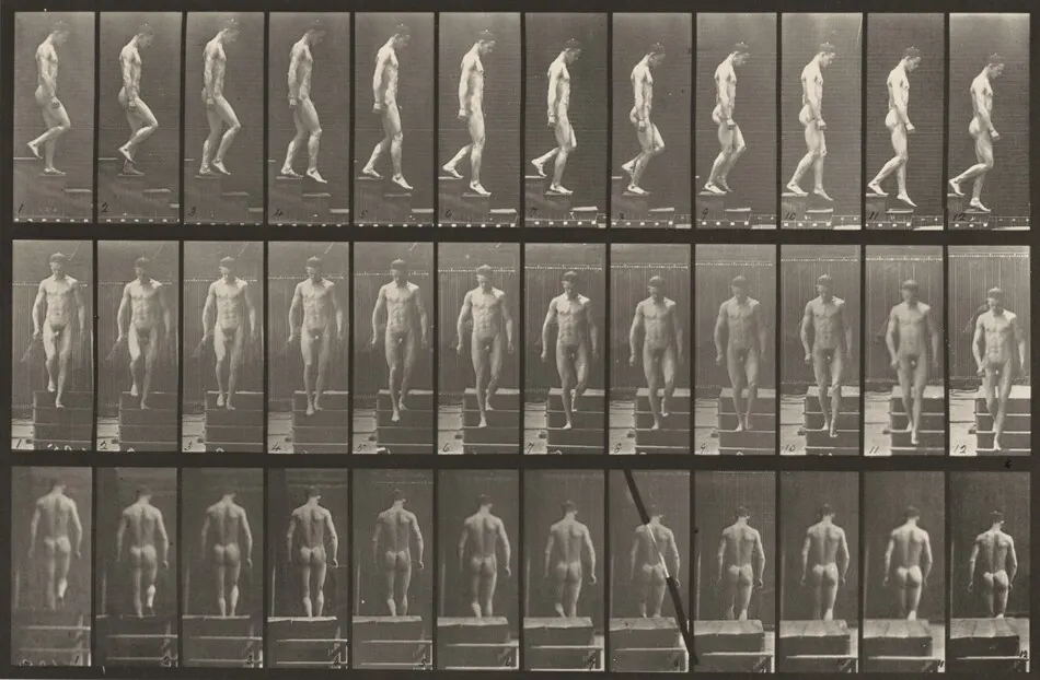 Plate Number 125. Descending stairs by Eadweard Muybridge