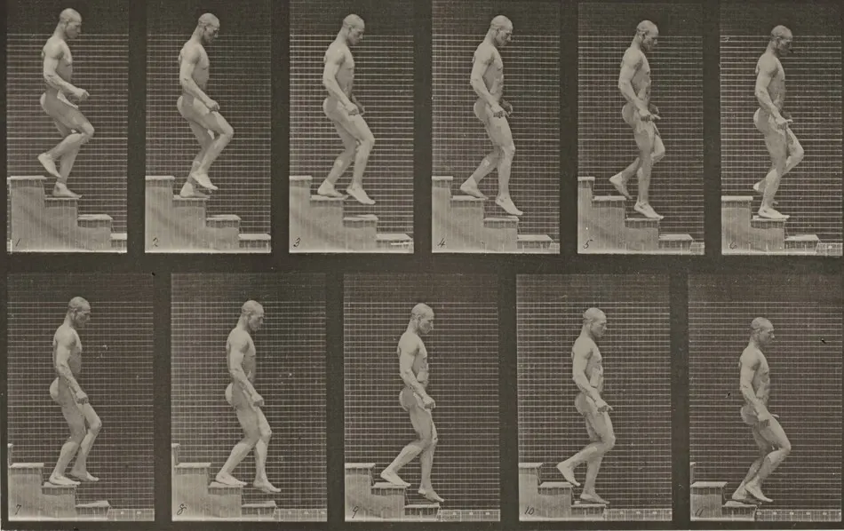 Plate Number 126. Descending stairs by Eadweard Muybridge