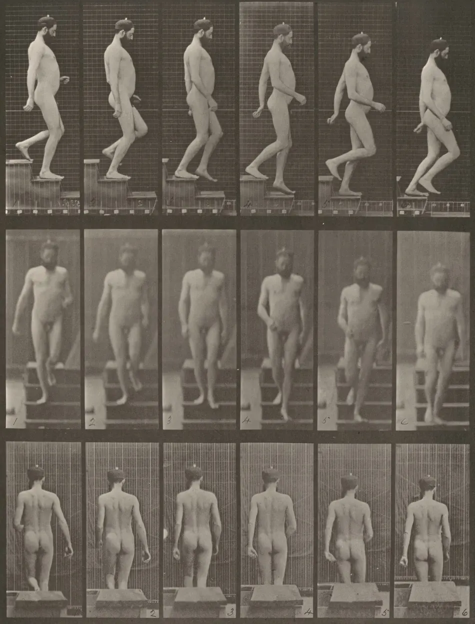 Plate Number 127. Descending stairs by Eadweard Muybridge