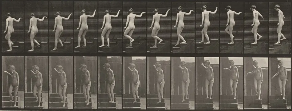 Plate Number 132. Descending stairs, turning to look around and waving hand by Eadweard Muybridge