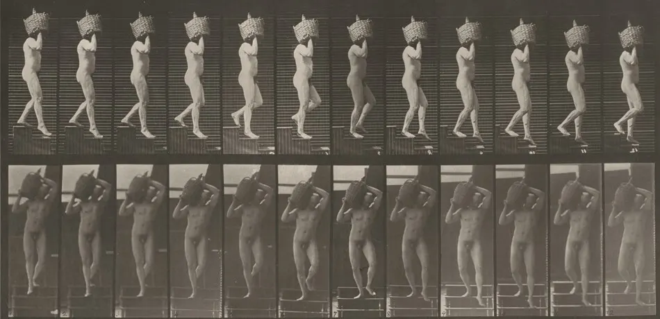 Plate Number 136. Descending stairs, a full demijohn on shoulder by Eadweard Muybridge