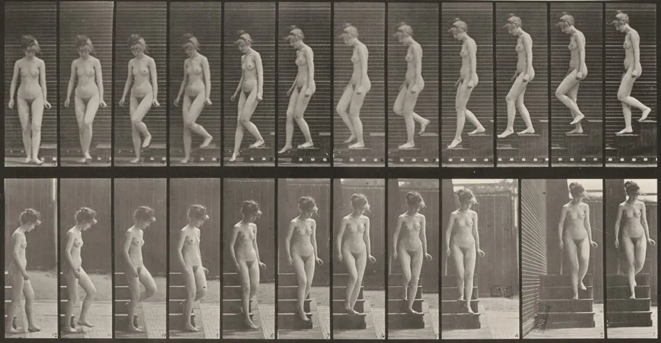 Plate Number 137. Descending stairs and turning around by Eadweard Muybridge