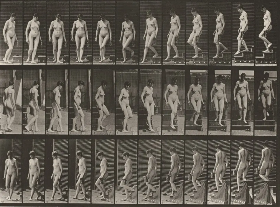 Plate Number 138. Descending stairs and turning with a pitcher in left hand by Eadweard Muybridge