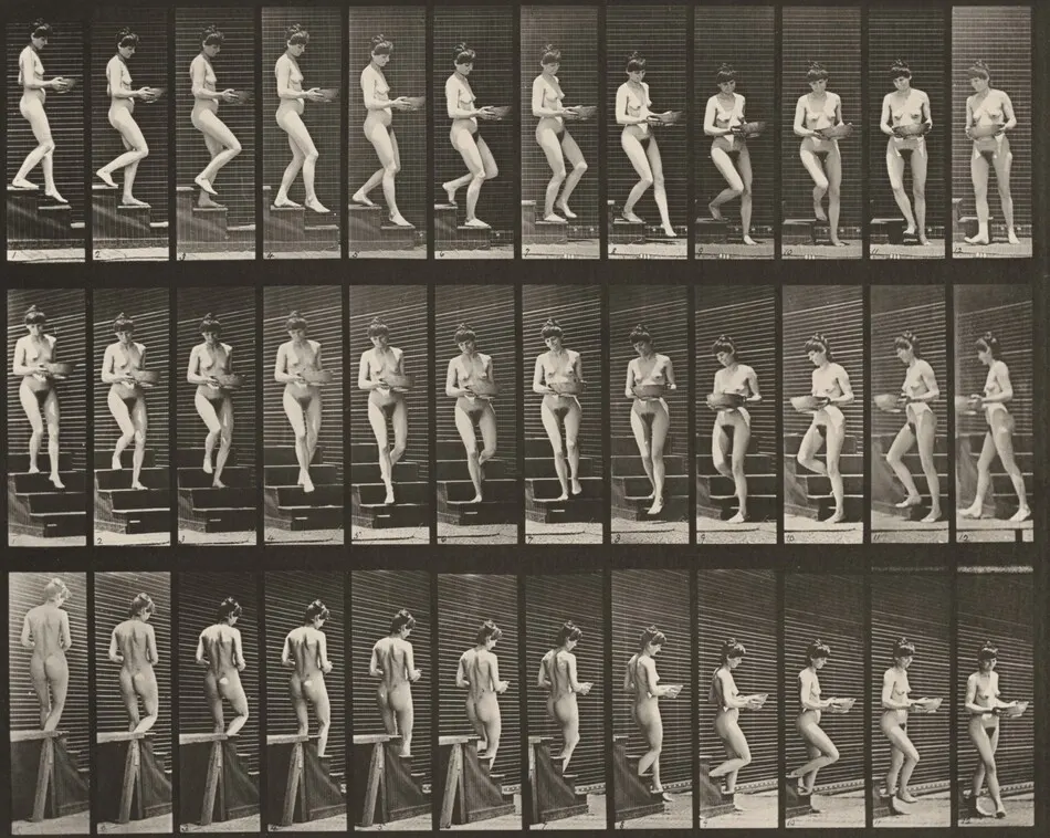 Plate Number 144. Descending stairs and turning with a basin in hands by Eadweard Muybridge