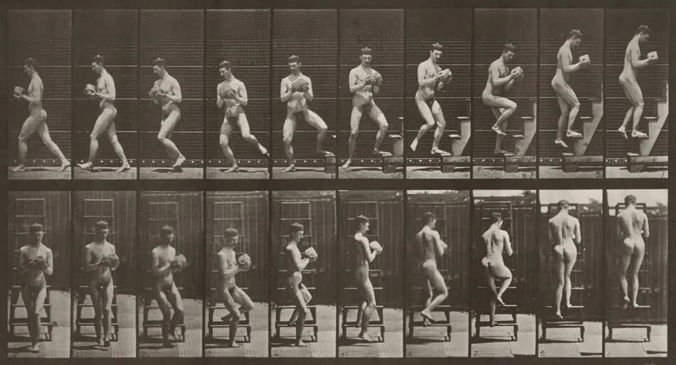 Plate Number 151. Descending a stepladder and turning around with a rock in hands by Eadweard Muybridge