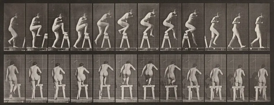 Plate Number 178. Stepping on and over a trestle by Eadweard Muybridge