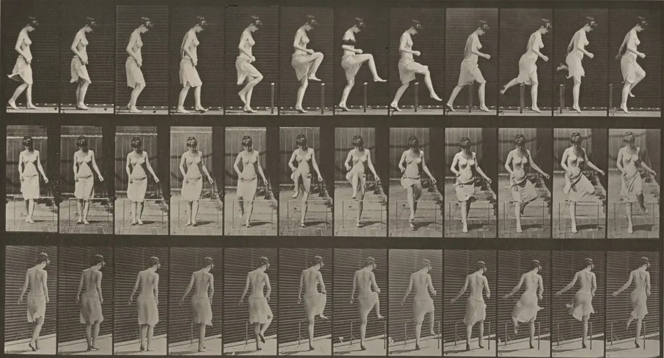 Plate Number 181. Stepping over a fence by Eadweard Muybridge