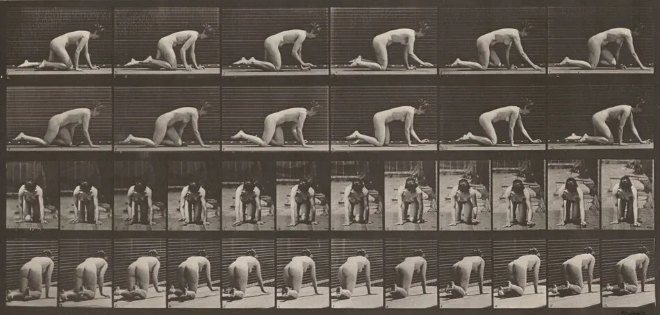Plate Number 182. Crawling on hands and knees by Eadweard Muybridge