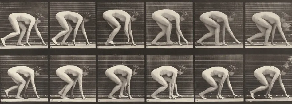 Plate Number 183. Walking on hands and feet by Eadweard Muybridge