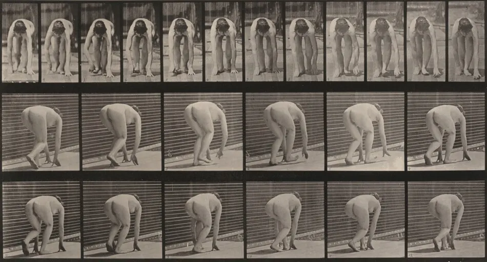 Plate Number 184. Walking on hands and feet by Eadweard Muybridge
