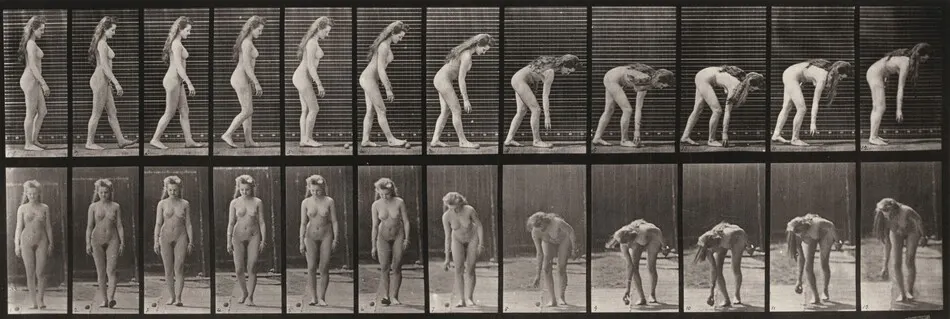 Plate Number 204. Stooping to pick up a ball by Eadweard Muybridge