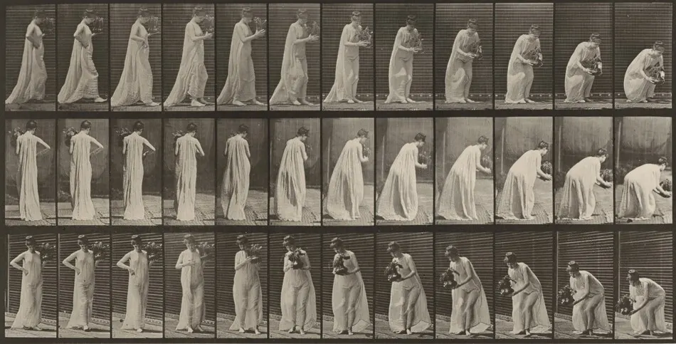 Plate Number 205. Carrying and stooping with a vase by Eadweard Muybridge
