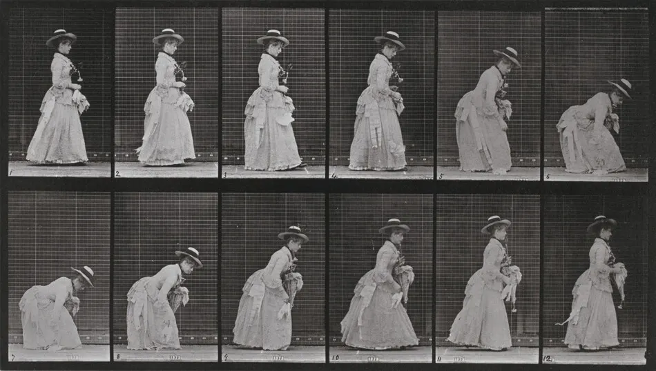 Plate Number 211. Stooping and lifting a handkerchief, a parasol in left hand by Eadweard Muybridge