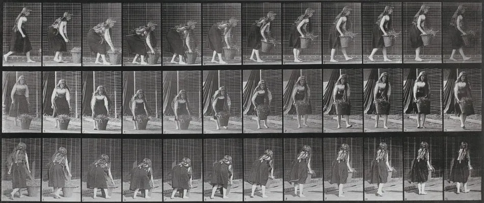 Plate Number 217. Stooping, lifting and carrying a 30-lb. basket by Eadweard Muybridge
