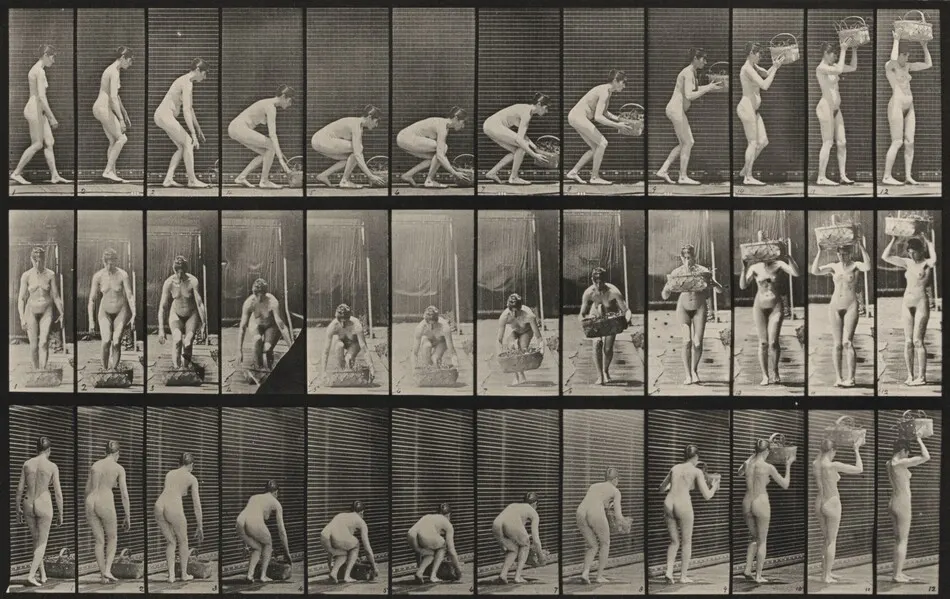 Plate Number 221. Stooping and lifting a 12-lb. basket to head by Eadweard Muybridge