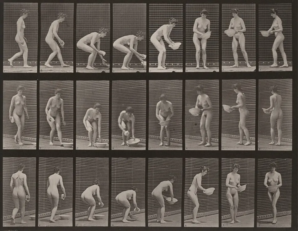 Plate Number 223. Stooping, lifting a basin, wiping it and turning by Eadweard Muybridge