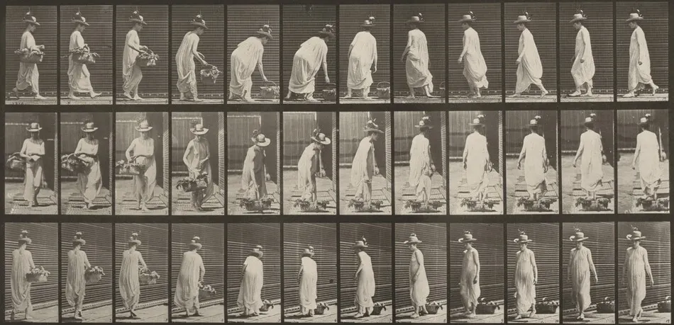 Plate Number 229. Placing a basket on the ground and turning by Eadweard Muybridge