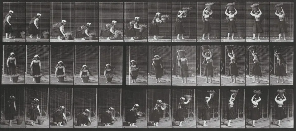 Plate Number 230. Lifting a 30-lb. basket from ground to head and turning by Eadweard Muybridge