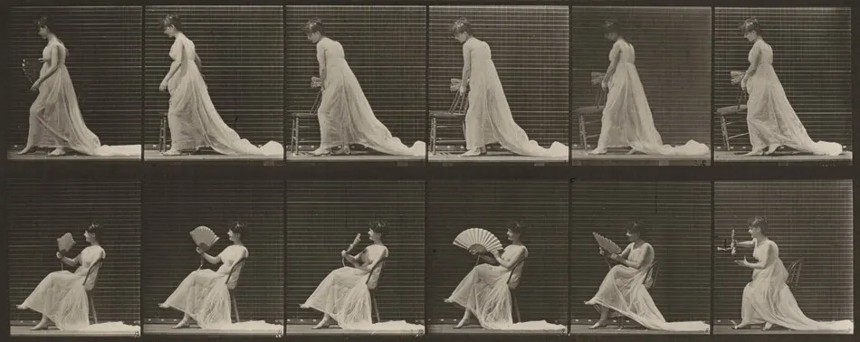 Plate Number 242. Placing chair, sitting and flirting a fan by Eadweard Muybridge