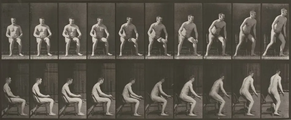 Plate Number 249. Rising from chair by Eadweard Muybridge