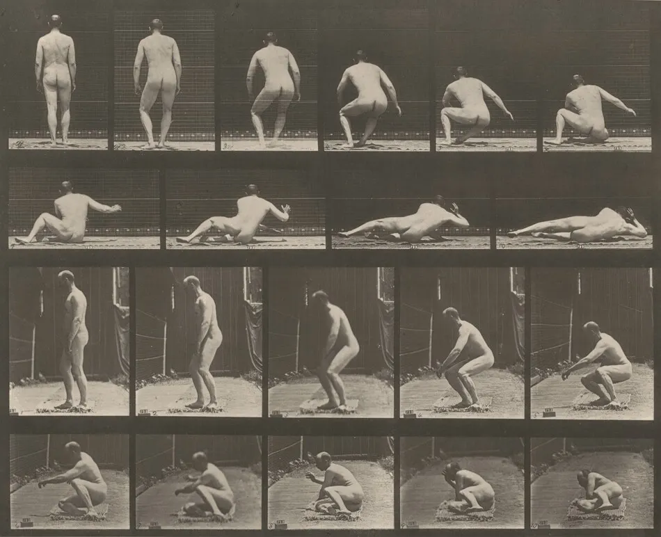 Plate Number 257. Lying on the ground by Eadweard Muybridge