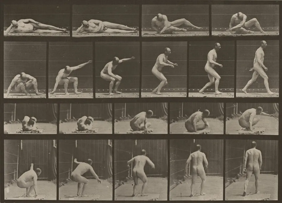 Plate Number 258. Arising from the ground and walking off by Eadweard Muybridge