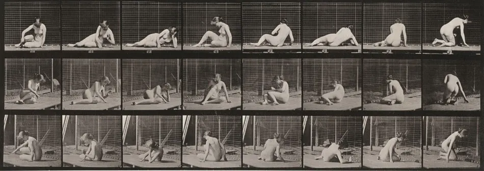 Plate Number 266. Turning and changing position while on the ground by Eadweard Muybridge