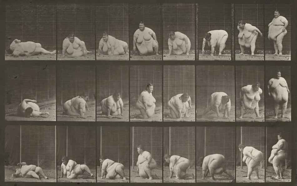 Plate Number 268. Arising from the ground by Eadweard Muybridge