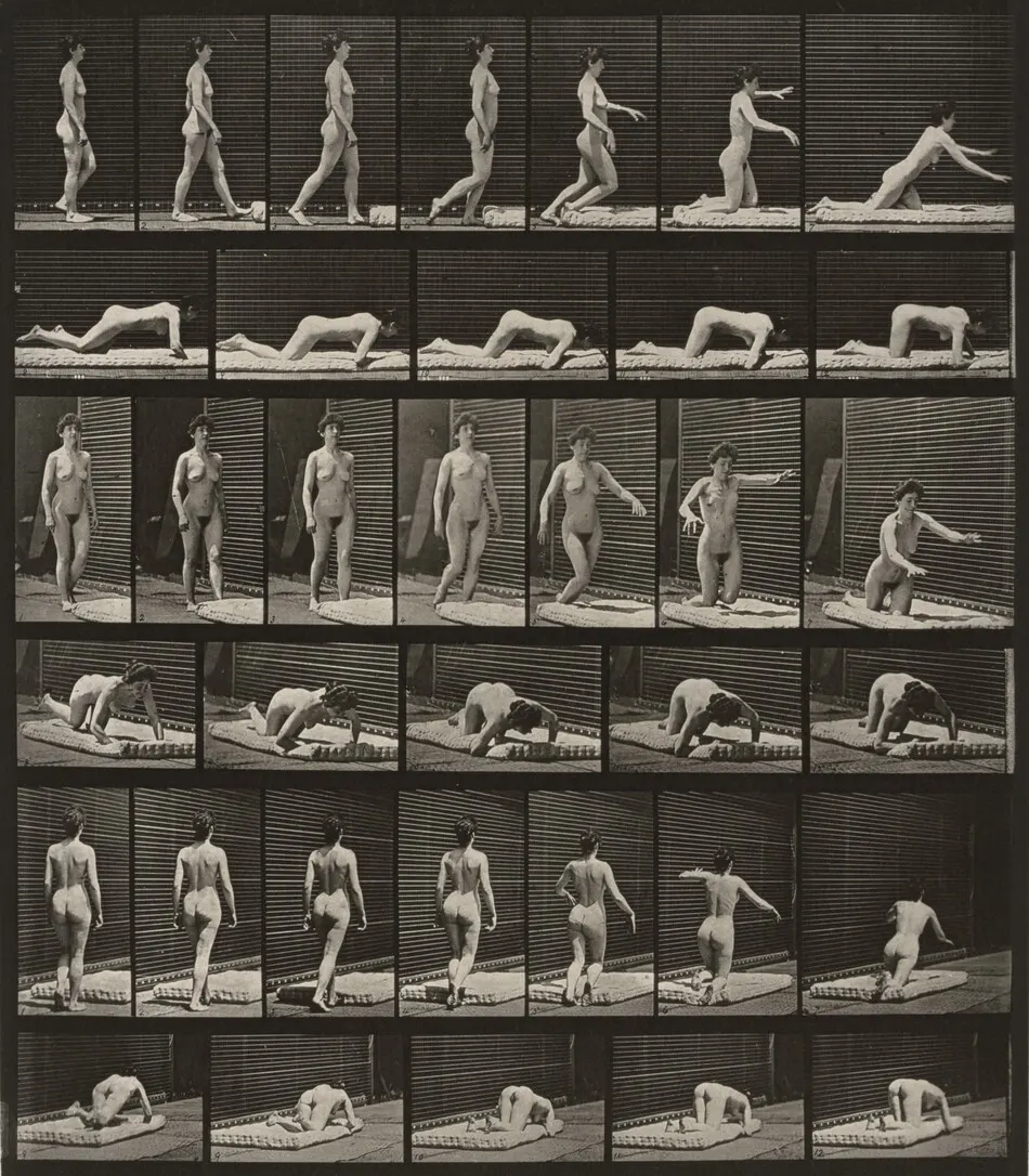 Plate Number 272. Stumbling and falling on the ground by Eadweard Muybridge